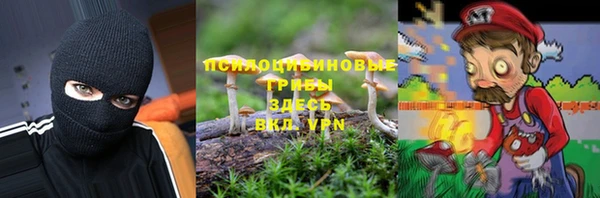 шишки Арсеньев