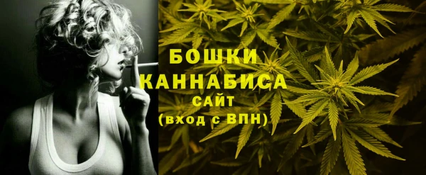 ПСИЛОЦИБИНОВЫЕ ГРИБЫ Семёнов
