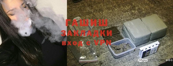 шишки Арсеньев