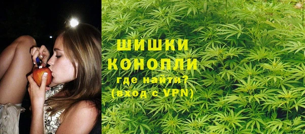 шишки Арсеньев