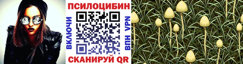 купить наркотик  Спас-Клепики  Галлюциногенные грибы ЛСД 